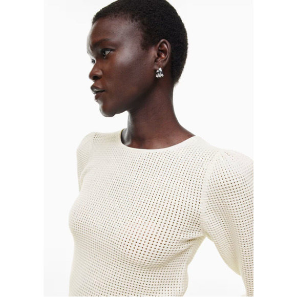 ARITZIA WILFRED Rosetta Mesh Crewneck Sweater in Light Birch - Picture 3 of 12